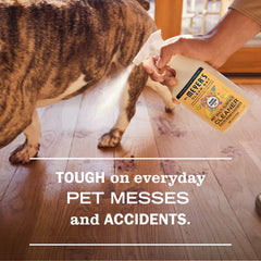 Orange Blossom Pet Multi-Surface Cleaner
