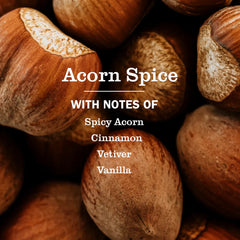 Acorn Spice Kitchen Basics Set