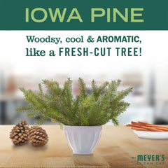 Iowa Pine Soy Candle Large