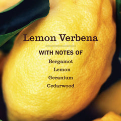 Lemon Verbena Liquid Hand Soap Refill