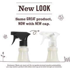 Peppermint Multi-Surface Everyday Cleaner 3-count Bundle