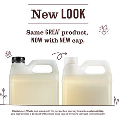Lemon Verbena Liquid Hand Soap Refill