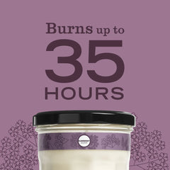 Elderberry Soy Candle Large