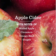 Apple Cider Liquid Hand Soap 3-count Bundle