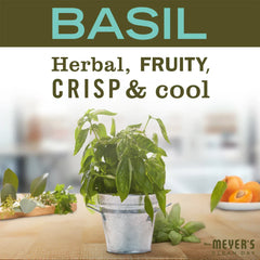 Basil Hand Lotion