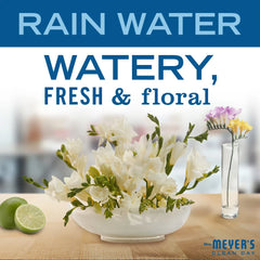 Rain Water Foaming Hand Soap Concentrate Refills 2-Pack