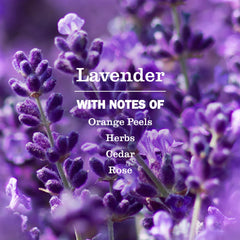 Lavender Dish Soap
