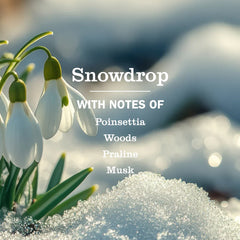 Snowdrop Liquid Hand Soap Refill