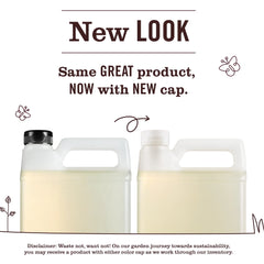 Compassion Flower Dish Soap Refill